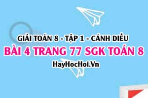 Giải bài 4 trang 77 Toán 8 Tập 1 SGK Cánh Diều